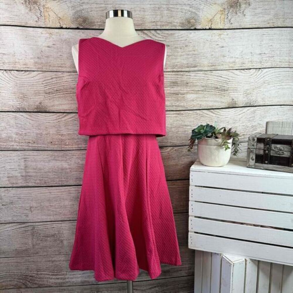 Taylor Raspberry Sleeveless V-Neck Layered Fit & Flare Dress Size 4